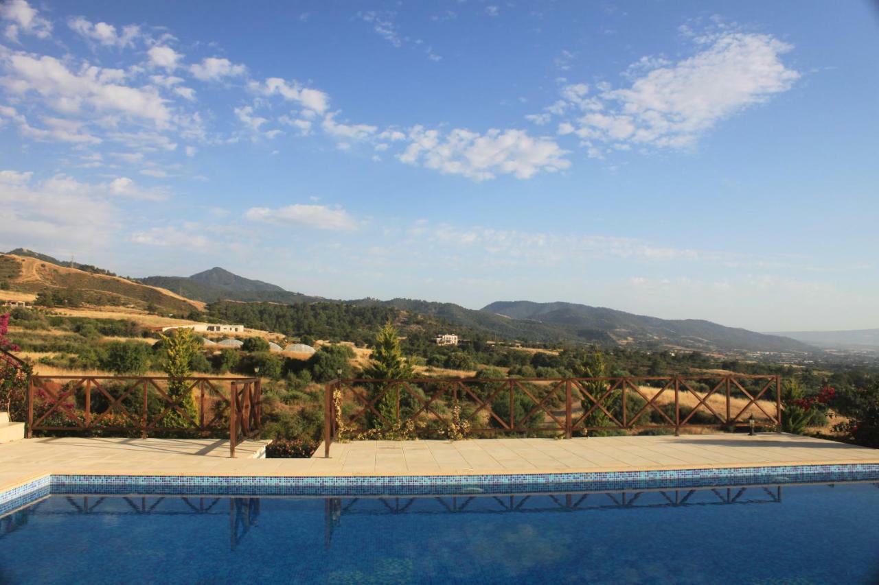 Martika Luxury Villa Agia Marina  المظهر الخارجي الصورة