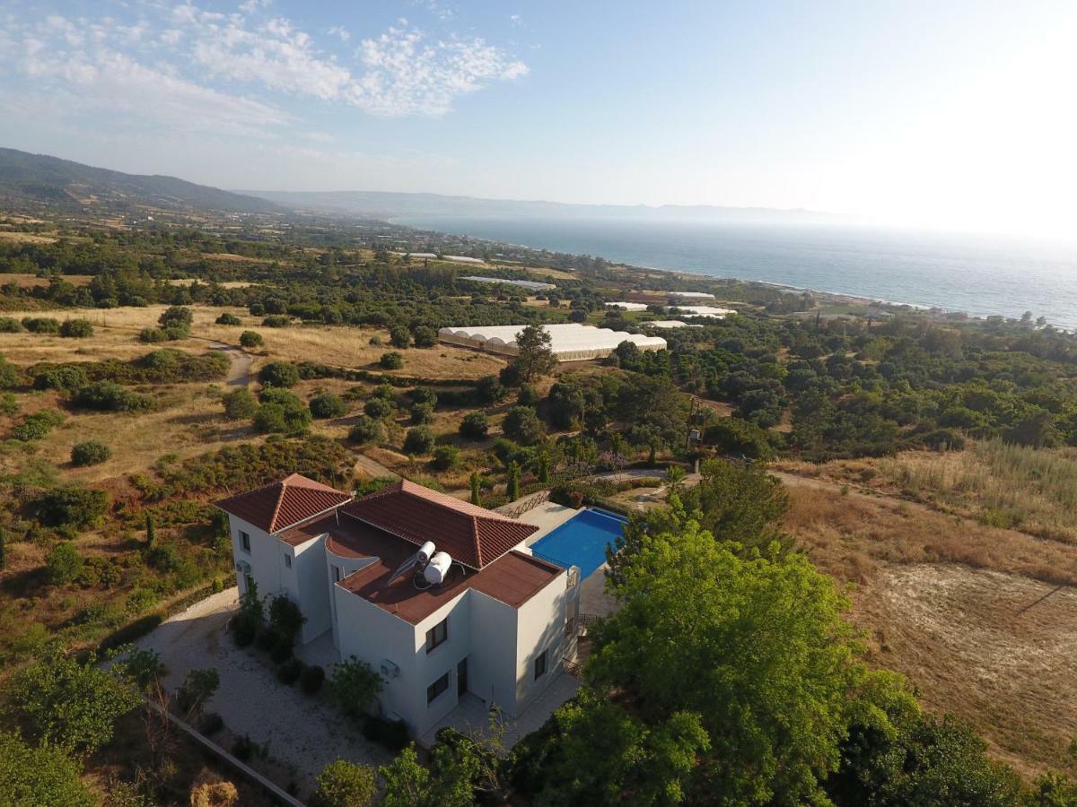 Martika Luxury Villa Agia Marina  المظهر الخارجي الصورة