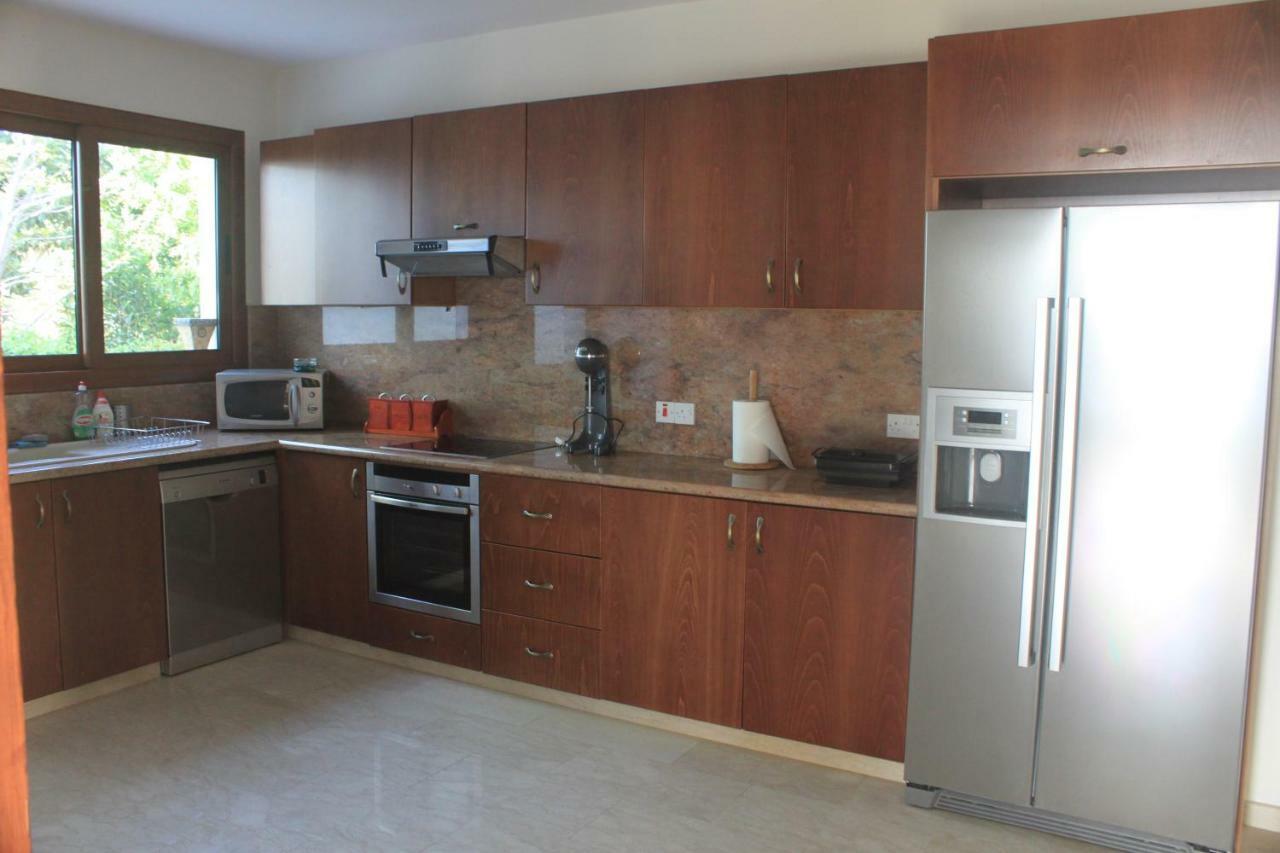 Martika Luxury Villa Agia Marina  المظهر الخارجي الصورة
